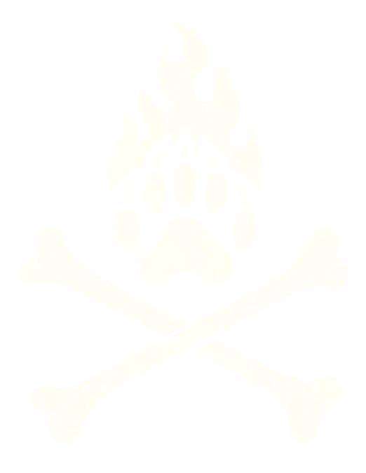 Thunderbear Studios Logo